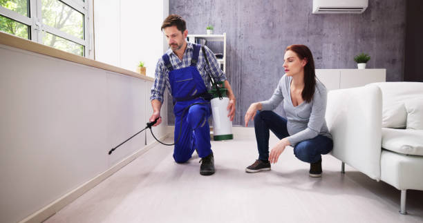 Professional Pest Control in Rosenberg, TX